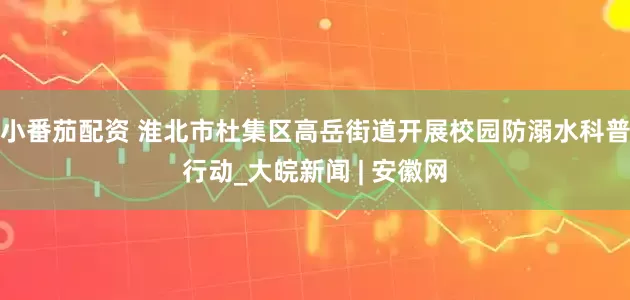 小番茄配资 淮北市杜集区高岳街道开展校园防溺水科普行动_大皖新闻 | 安徽网