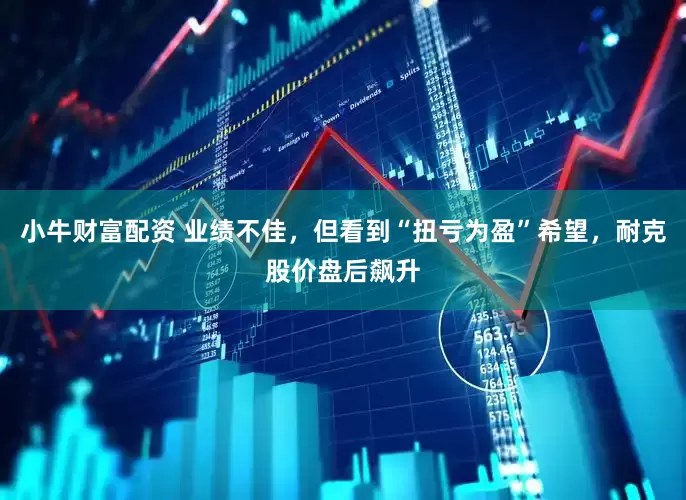 小牛财富配资 业绩不佳，但看到“扭亏为盈”希望，耐克股价盘后飙升