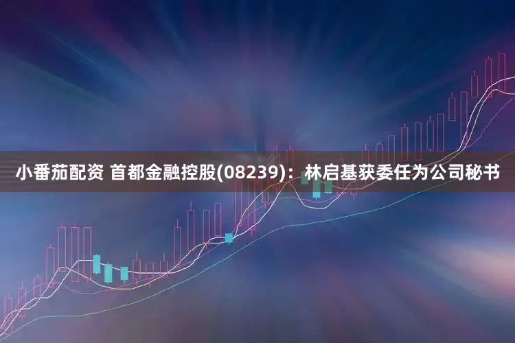 小番茄配资 首都金融控股(08239)：林启基获委任为公司秘书