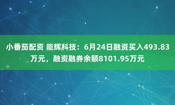 小番茄配资 能辉科技：6月24日融资买入493.83万元，融资融券余额8101.95万元