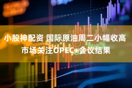 小股神配资 国际原油周二小幅收高 市场关注OPEC+会议结果