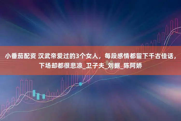 小番茄配资 汉武帝爱过的3个女人，每段感情都留下千古佳话，下场却都很悲凉_卫子夫_刘据_陈阿娇