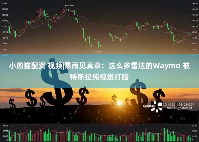 小煎猫配资 视频|暴雨见真章：这么多雷达的Waymo 被特斯拉纯视觉打脸
