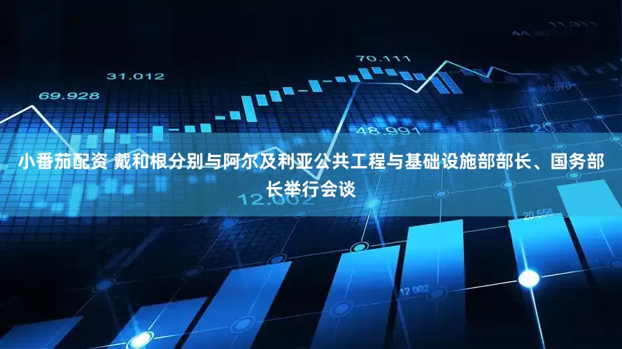小番茄配资 戴和根分别与阿尔及利亚公共工程与基础设施部部长、国务部长举行会谈