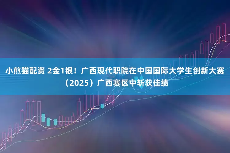小煎猫配资 2金1银！广西现代职院在中国国际大学生创新大赛（2025）广西赛区中斩获佳绩