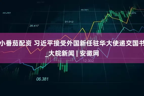 小番茄配资 习近平接受外国新任驻华大使递交国书_大皖新闻 | 安徽网