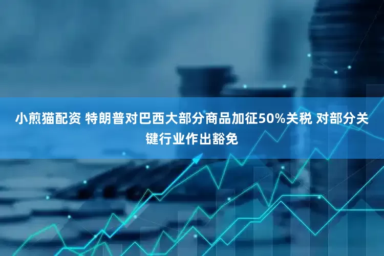 小煎猫配资 特朗普对巴西大部分商品加征50%关税 对部分关键行业作出豁免