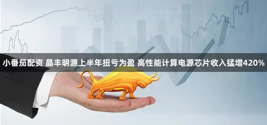 小番茄配资 晶丰明源上半年扭亏为盈 高性能计算电源芯片收入猛增420%