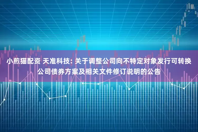 小煎猫配资 天准科技: 关于调整公司向不特定对象发行可转换公司债券方案及相关文件修订说明的公告